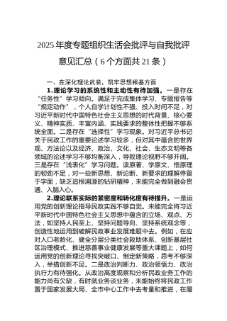 2025年度专题组织生活会批评与自我批评意见汇总（6个方面共21条）