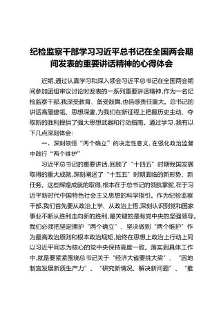 纪检监察干部学习习近平总书记在全国两会期间发表的重要讲话精神的心得体会