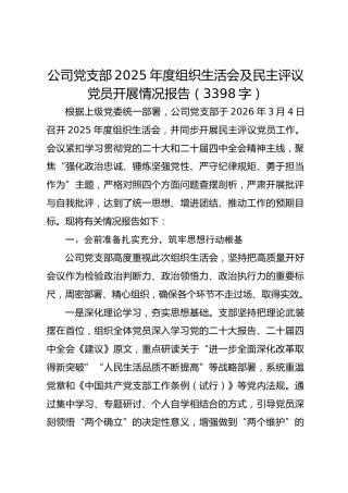国企党支部2025年度组织生活会及民主评议党员开展情况报告