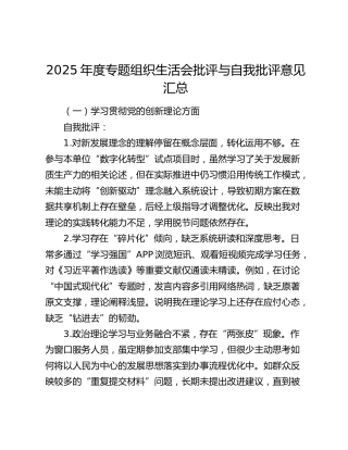 2025年度专题组织生活会批评与自我批评意见汇总