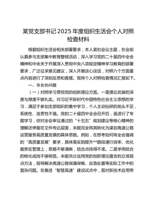 某党支部书记2025年度组织生活会个人对照检查材料