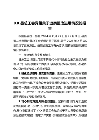 XX县总工会党组关于巡察整改进展情况的报告