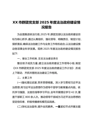 XX市群团党支部2025年度法治政府建设情况报告