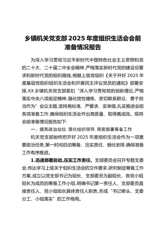 乡镇机关党支部 2025 年度组织生活会会前准备情况报告