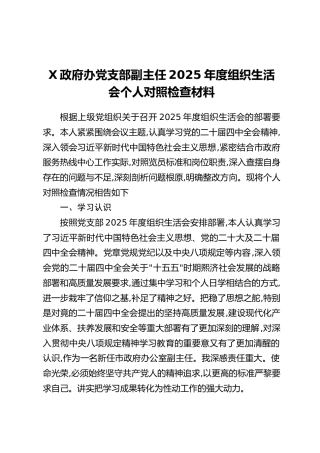 X政府办党支部副主任2025年度组织生活会个人对照检查材料