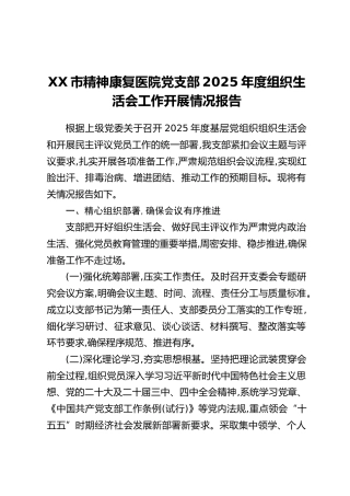 XX市精神康复医院党支部2025年度组织生活会工作开展情况报告