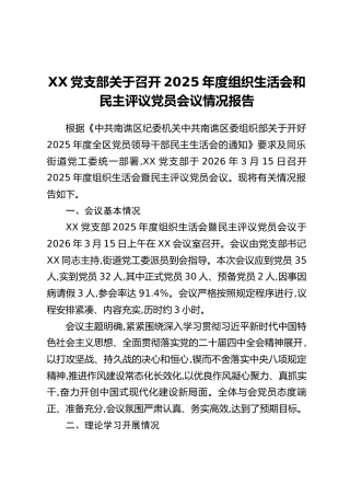 XX党支部关于召开2025年度组织生活会和民主评议党员会议情况报告