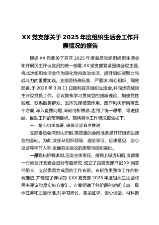 XX党支部关于2025年度组织生活会工作开展情况的报告