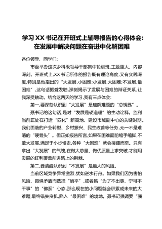 学习XX书记在开班式上辅导报告的心得体会：在发展中解决问题在奋进中化解困难