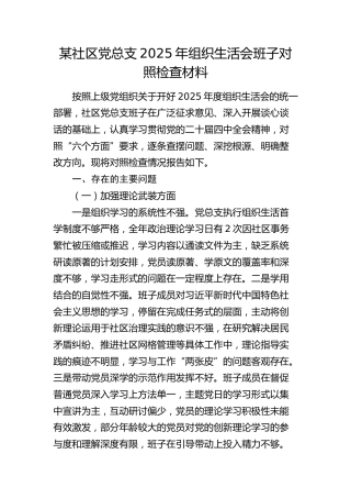 社区党总支2025年组织生活会班子对照检查材料