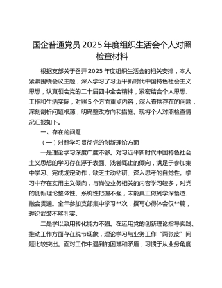 公司2025年度组织生活会个人对照检查材料