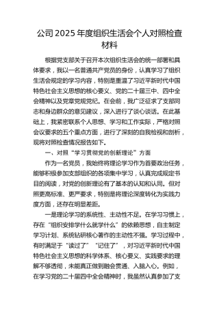 公司2025年度组织生活会个人对照检查5300字G