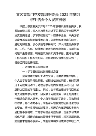 党支部组织委员2025年度组织生活会个人发言