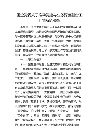 国企公司推动党建与业务深度融合工作情况总结报告