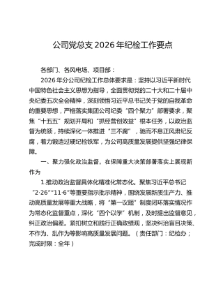 公司党总支2026年纪检工作要点（新能源）F