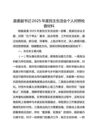 县委副书记2025年度民主生活会个人对照检查材料