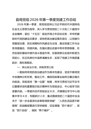 县局党组2026年第一季度党建工作总结