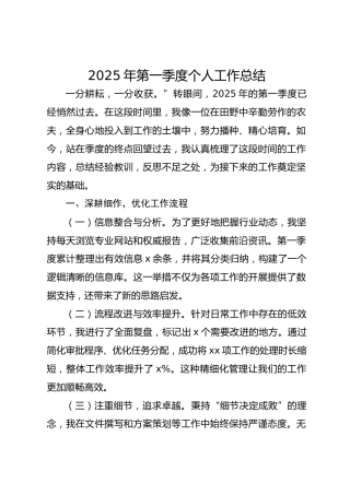 2025年第一季度个人工作总结.