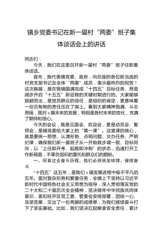 镇乡党委书记在新一届村“两委”班子集体谈话会上的讲话