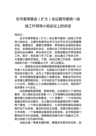 在市委常委会（扩大）会议暨市委统一战线工作领导小组会议上的讲话