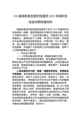 XX县税务局支部纪检委员2025年组织生活会对照检查材料