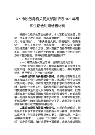 XX市税务局机关党支部副书记2025年组织生活会对照检查材料
