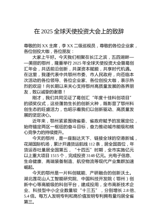 在2025全球天使投资大会上的致辞