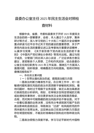 县委办公室主任2025年民主生活会对照检查材料