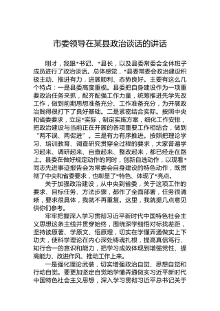 市委领导在某县政治谈话的讲话