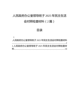人民政府办公室领导班子2025年民主生活会对照检查材料（2篇）