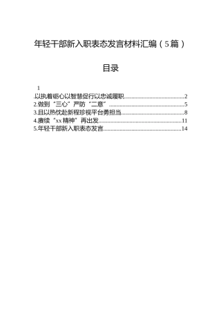 年轻干部新入职表态发言材料汇编（5篇）