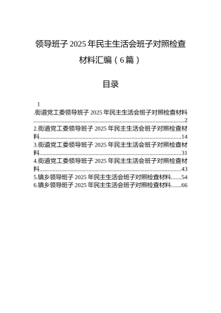 领导班子2025年民主生活会班子对照检查材料汇编（6篇）