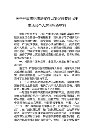 关于严重违纪违法案件以案促改专题民主生活会个人对照检查材料