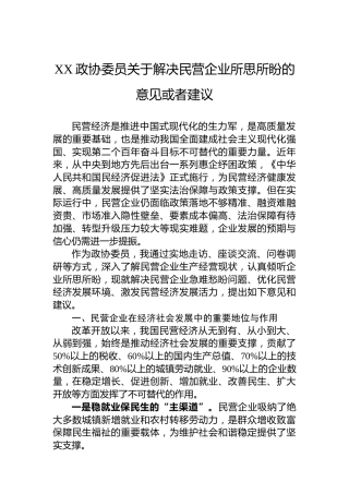 XX政协委员关于解决民营企业所思所盼的意见或者建议