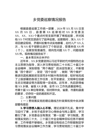 乡党委巡察情况报告