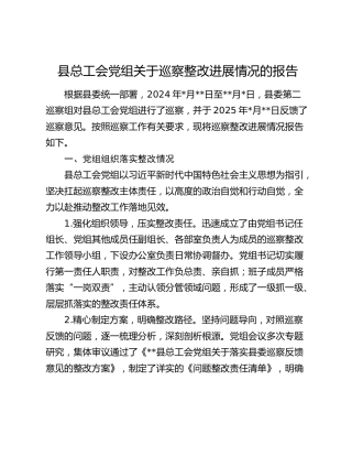 县总工会党组关于巡察整改进展情况的报告