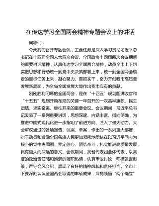 在传达学习全国两会精神专题会议上的讲话