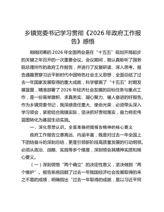 乡镇党委书记学习贯彻《2026年政府工作报告》感悟