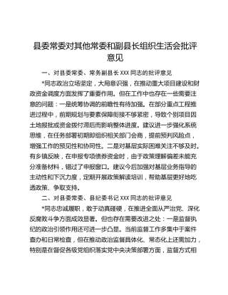 县委常委对其他常委和副县长组织生活会批评意见