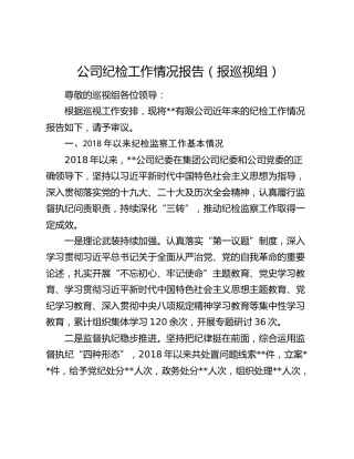 公司纪检工作情况报告（报巡视组）