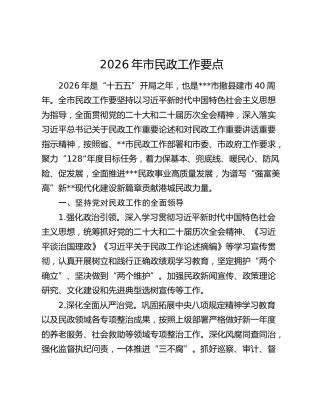 2026年市民政工作要点