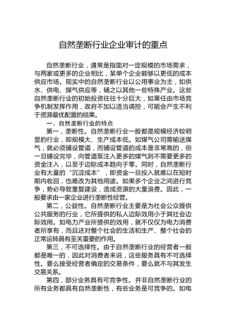 自然垄断行业企业审计的重点