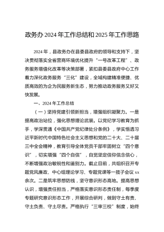 政务办2024年工作总结和2025年工作思路