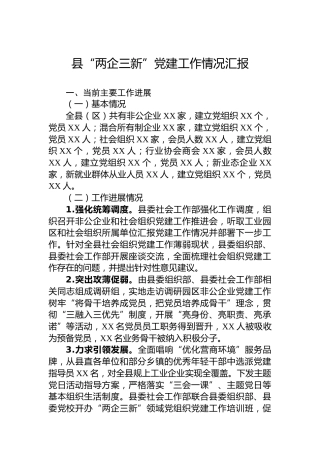 县“两企三新”党建工作情况汇报