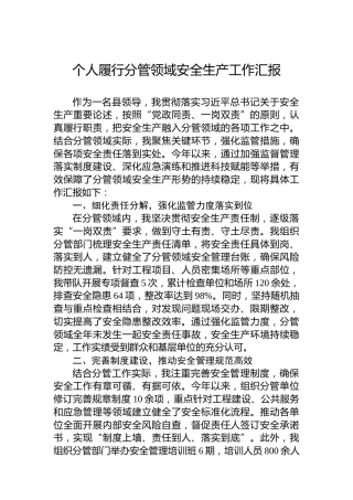 个人履行分管领域安全生产工作汇报