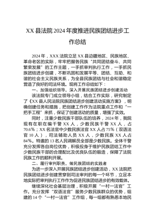 XX县法院2024年度推进民族团结进步工作总结