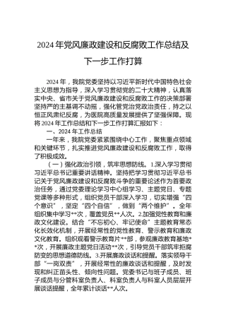 2024年党风廉政建设和反腐败工作总结及下一步工作打算
