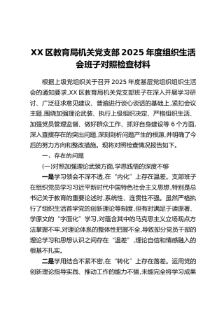 XX区教育局机关党支部2025年度组织生活会班子对照检查材料