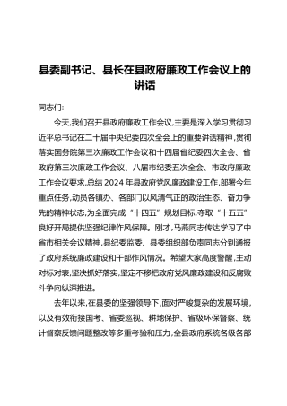 县委副书记、县长在县政府廉政工作会议上的讲话