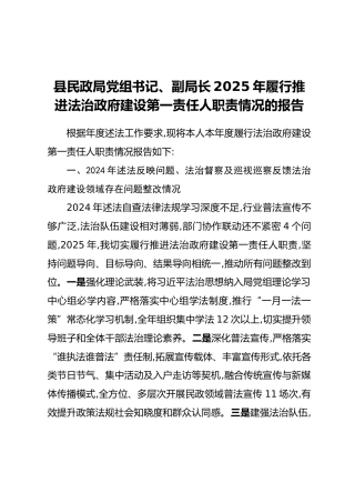 县民政局党组书记、副局长2025年履行推进法治政府建设第一责任人职责情况的报告